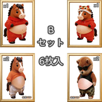 Bセット6枚入