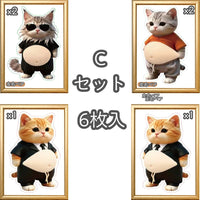 Cセット6枚入